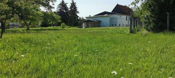 10 rooms Farm in Leipzig, Germany No. 142318 16