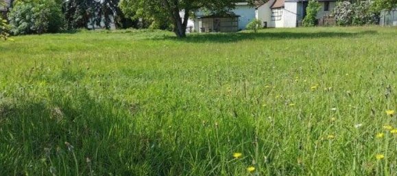 10 rooms Farm in Leipzig, Germany No. 142318 17