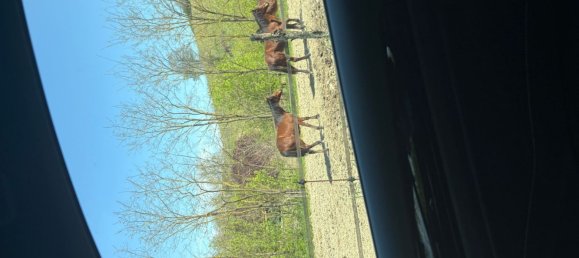 Villa de 6 habitaciónes en Borgo Priolo, Italy No. 109610 37