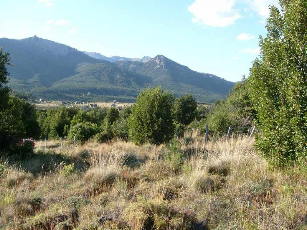 Grundstück in Neuquen, Argentina, Nr. 35526