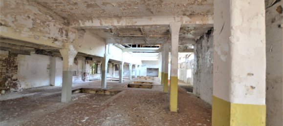 Gewerbliche Immobilie in Wuppertal, Germany, Nr. 61041 14