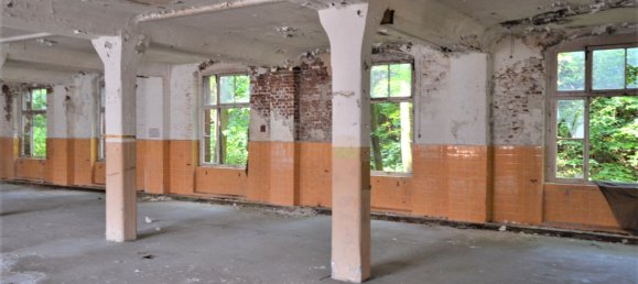 Gewerbliche Immobilie in Wuppertal, Germany, Nr. 61041 9