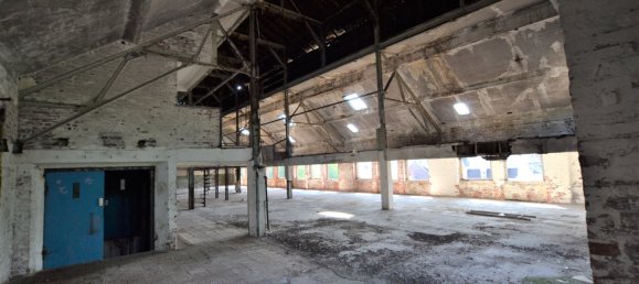 Gewerbliche Immobilie in Wuppertal, Germany, Nr. 61041 21