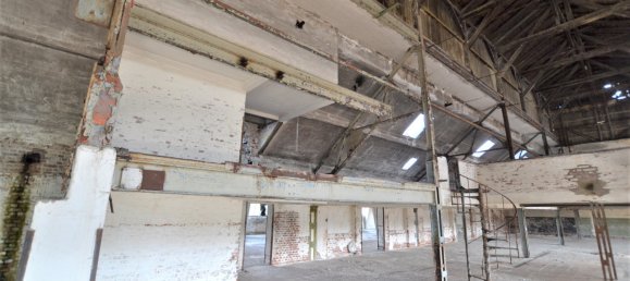 Gewerbliche Immobilie in Wuppertal, Germany, Nr. 61041 22