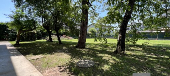 4 rooms House in San Martino di Lupari, Italy No. 234956 17