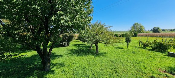 10 غرف نوم فيلا في Venice, Italy رقم 323159 12