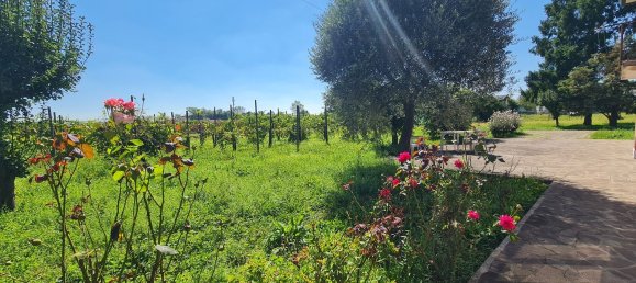 10 غرف نوم فيلا في Venice, Italy رقم 323159 8