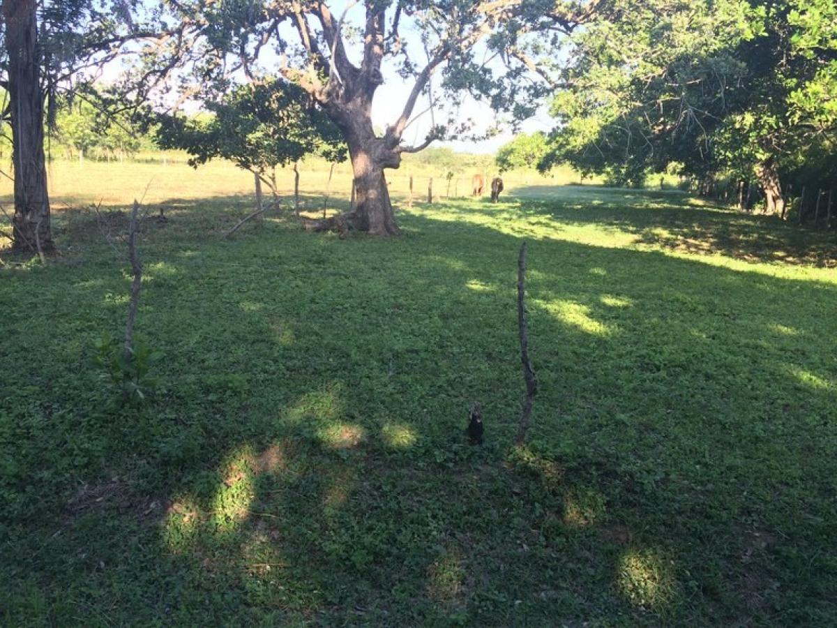 Land for sale in Liberia, Guanacaste, Costa Rica № 1829