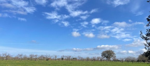 Studio in Ostuni, Italy No. 133972 10