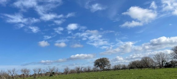Studio in Ostuni, Italy No. 133972 9