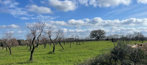 Studio in Ostuni, Italy No. 133972 4