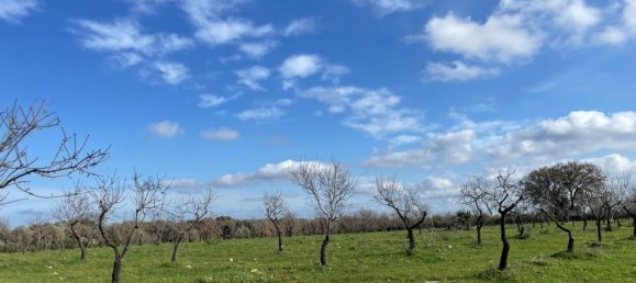Studio in Ostuni, Italy No. 133972 8