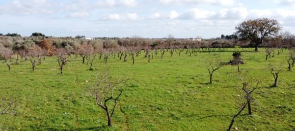 Studio in Ostuni, Italy No. 133972 7