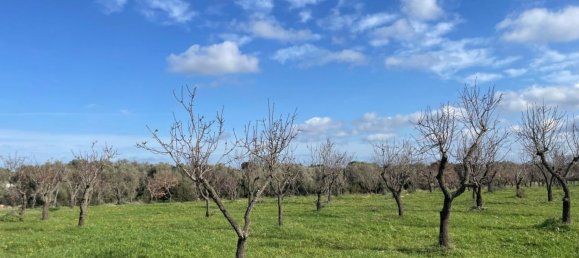 Studio in Ostuni, Italy No. 133972 6