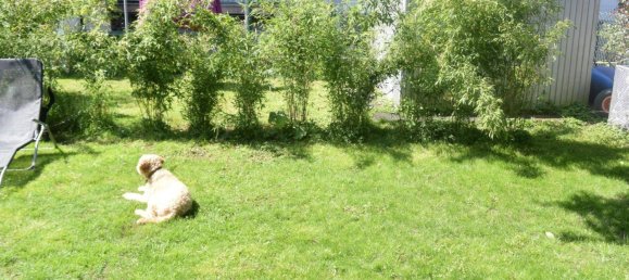 5 rooms House in Waidhofen an der Ybbs, Austria No. 145390 6