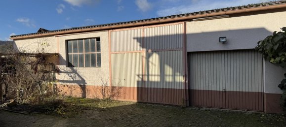 5-salle Propriété commerciale à Annweiler am Trifels, Germany No. 61801 7