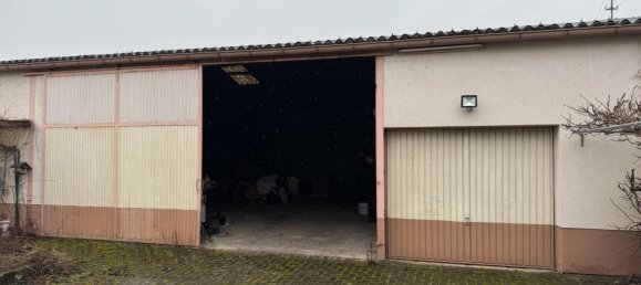 5-salle Propriété commerciale à Annweiler am Trifels, Germany No. 61801 28