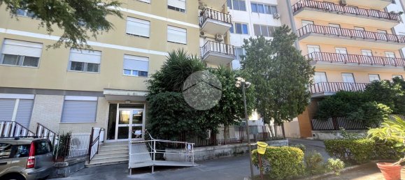 1 bedroom Apartment in Palermo, Italy No. 264016 6