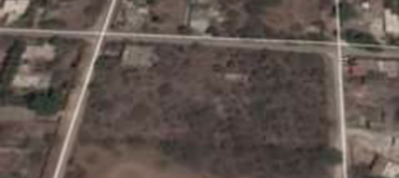 Terrain à Merida, Mexico No. 119949 2