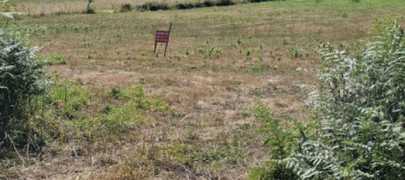 Grundstück in Lamego, Portugal, Nr. 190387 8