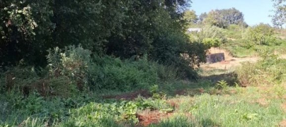 Grundstück in Lamego, Portugal, Nr. 190387 10