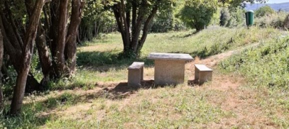 Grundstück in Lamego, Portugal, Nr. 190387 4