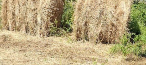Grundstück in Lamego, Portugal, Nr. 190387 9