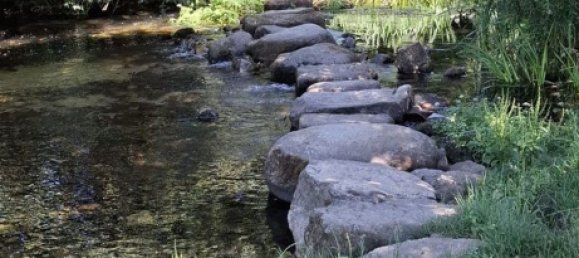 Grundstück in Lamego, Portugal, Nr. 190387 2