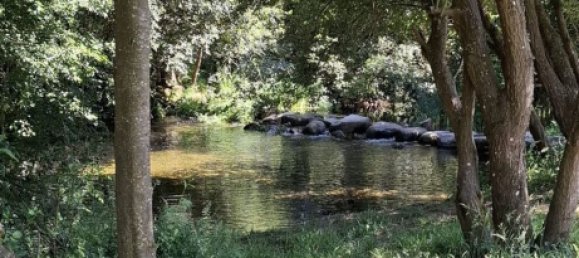 Grundstück in Lamego, Portugal, Nr. 190387 3