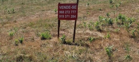 Grundstück in Lamego, Portugal, Nr. 190387 6