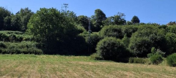 Grundstück in Lamego, Portugal, Nr. 190387 11