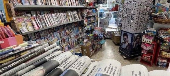 Gewerbliche Immobilie in Camaiore, Italy 100m², Nr. 199655 2