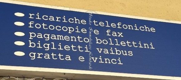 Gewerbliche Immobilie in Camaiore, Italy 100m², Nr. 199655 7