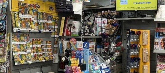 Gewerbliche Immobilie in Camaiore, Italy 100m², Nr. 199655 11