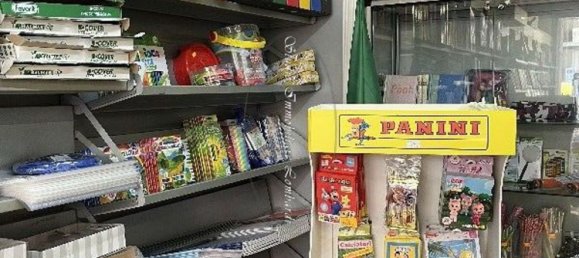 Gewerbliche Immobilie in Camaiore, Italy 100m², Nr. 199655 13