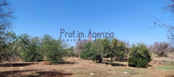 2 bedrooms House in Carovigno, Italy No. 380627 9