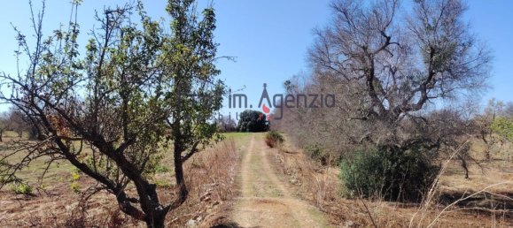 2 bedrooms House in Carovigno, Italy No. 380627 11