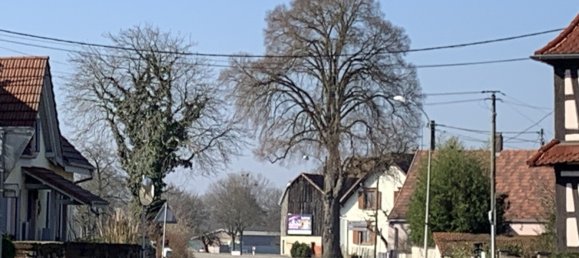 Grundstück in Selestat, France 874m², Nr. 219060 3