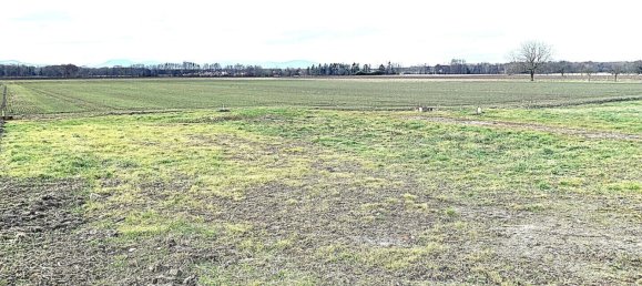 Grundstück in Selestat, France 874m², Nr. 219060 4