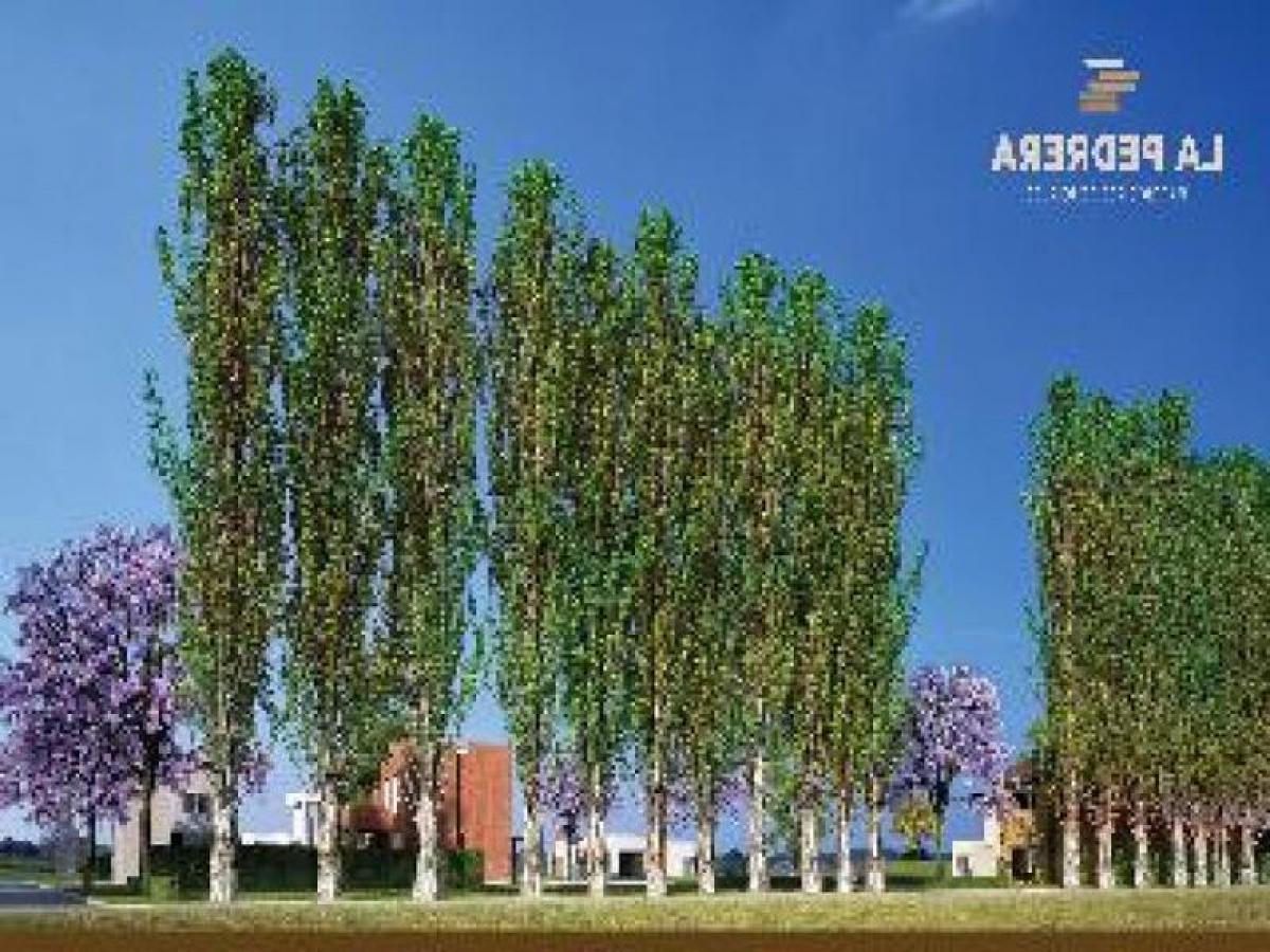 Terreno em Santa Fe, Argentina N.º 30585