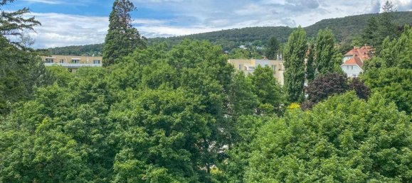 3-salle Appartement à Baden, Austria No. 136244 13