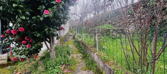 4 غرف نوم منزل في Torre de Moncorvo, Portugal رقم 13301 7