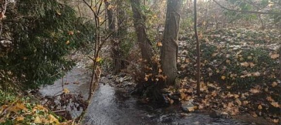 Дом с 4 спальнями в Сульц-О-Рен, Франция № 67641 6