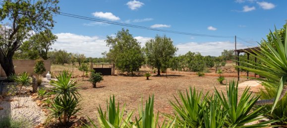 7 غرف نوم منزل في Paderne, Portugal رقم 162633 43