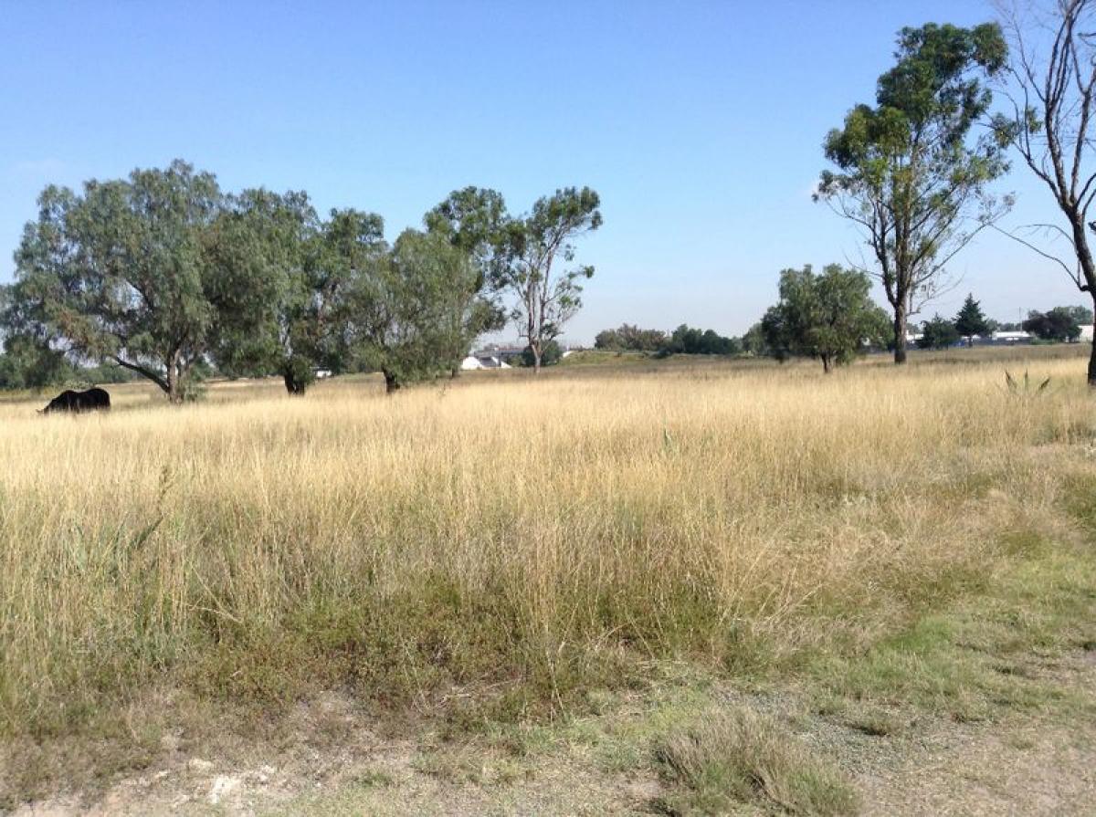 Grundstück in Tecamac de Felipe Villanueva, Mexico, Nr. 205148