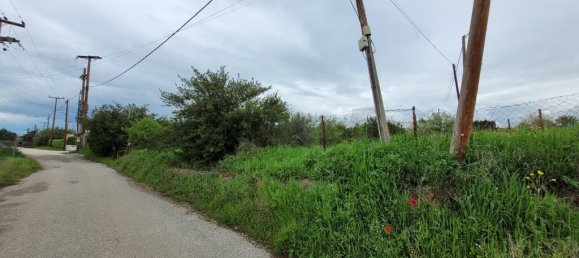 فندق في Panorama, Greece 4000متر مربع رقم 53297 5