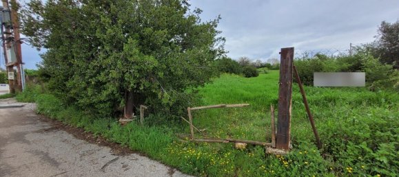 فندق في Panorama, Greece 4000متر مربع رقم 53297 7