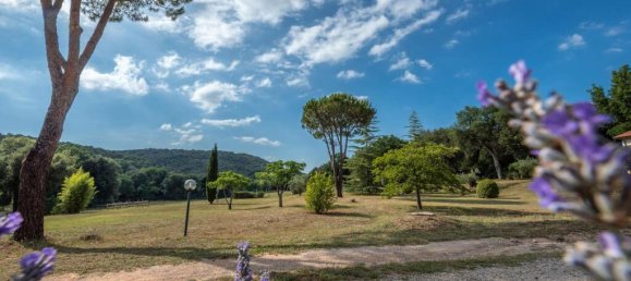 7 bedrooms House in Roccastrada, Italy No. 55817 29