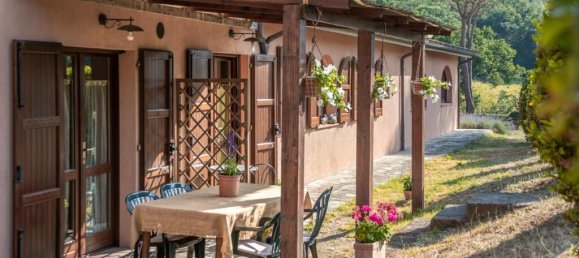 7 bedrooms House in Roccastrada, Italy No. 55817 5