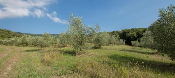 7 bedrooms House in Roccastrada, Italy No. 55817 52